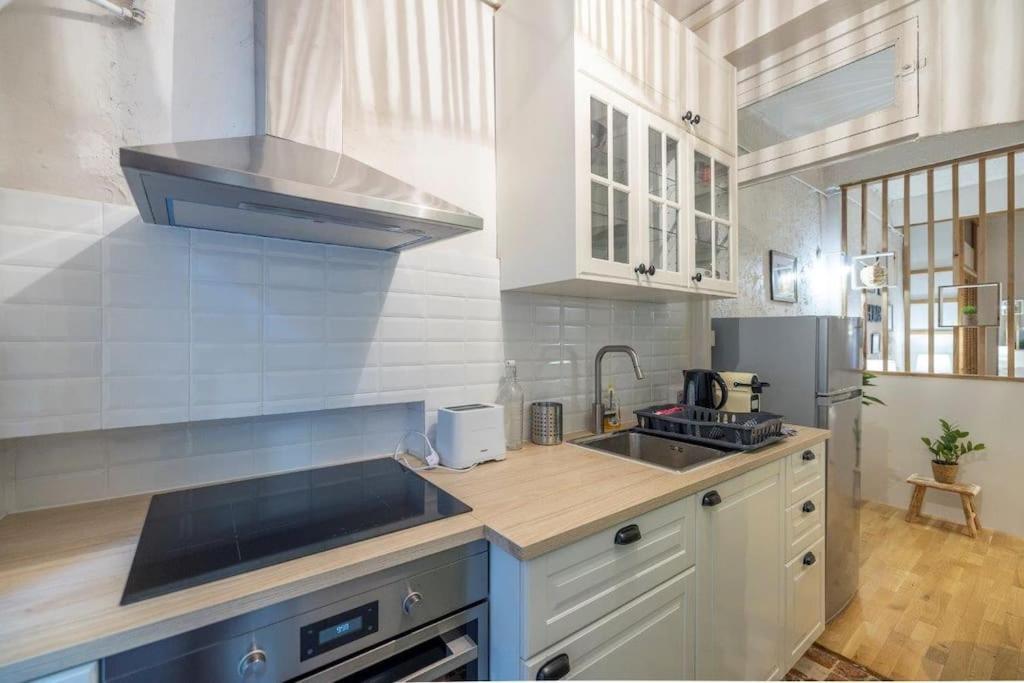 Appartement Cosy Dans Les Rues Pietonnes Grenoble Bagian luar foto